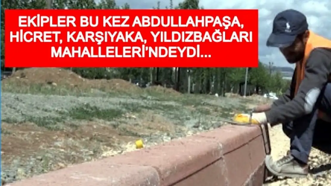 Hummalı Çalışma