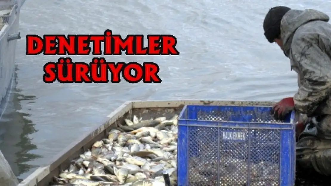 200 kg Balık Ele Geçirildi