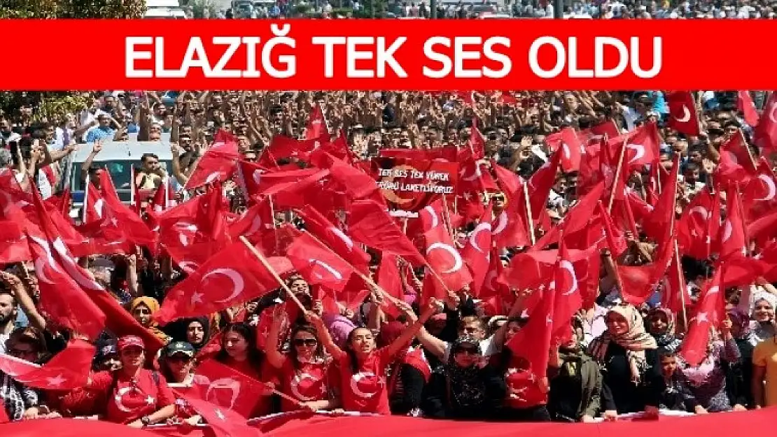 Teröre Lanet İçin Yürüdüler
