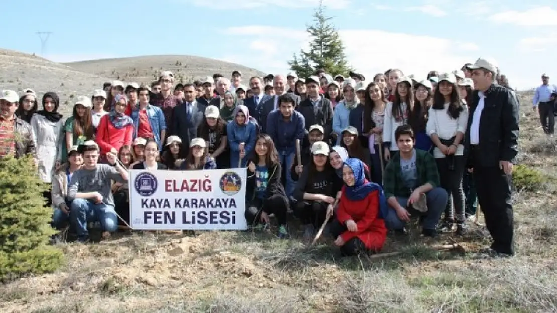 Kaya Karakaya Lisesinden Fidan Dikimi