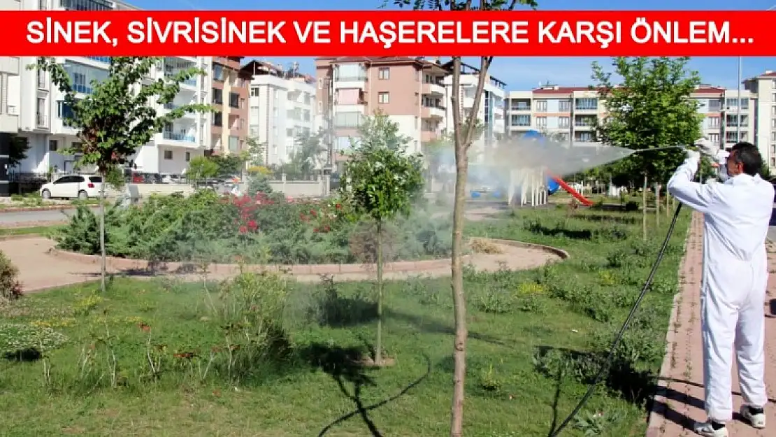 Haşereleri İlaçladılar