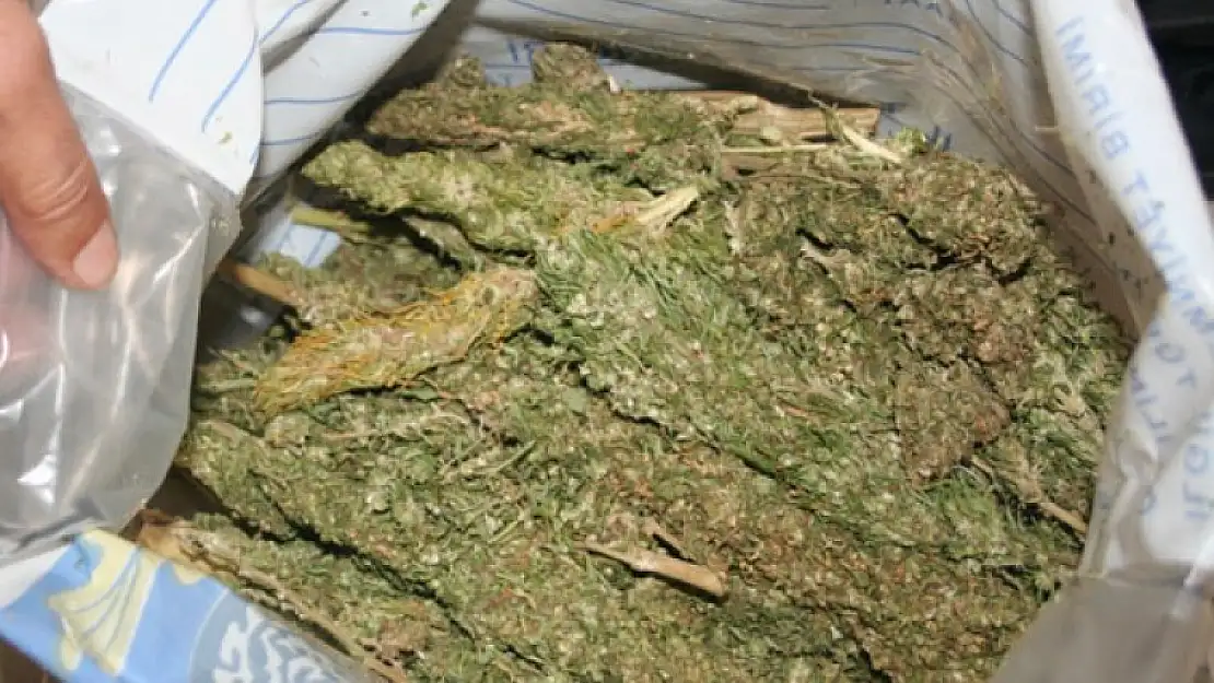 Elazığ'da 7 Kilo Esrar Ele Geçirildi