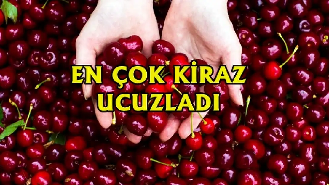 Kabak Fiyatları Arttı!