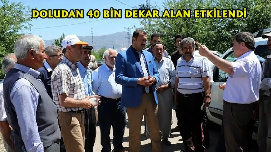 %30-%80 Arasında Hasar!