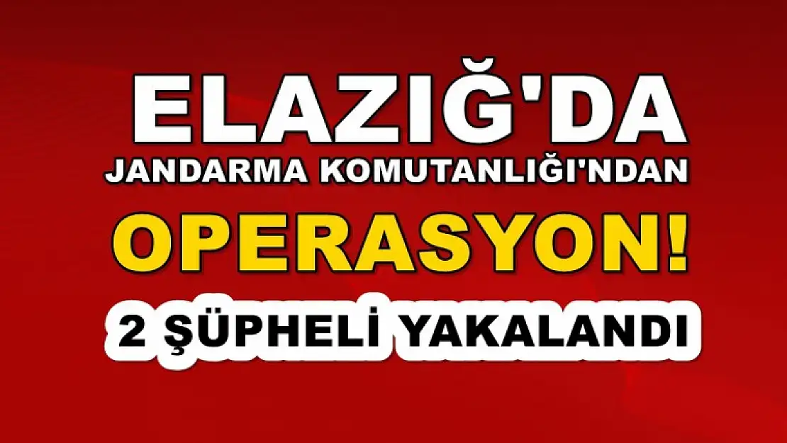 Jandarma Komutanlığı'ndan Operasyon