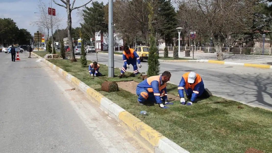 Her Şey Daha Yeşil Bir Elazığ İçin