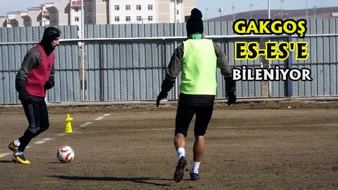 Hazırlıklar Sürüyor
