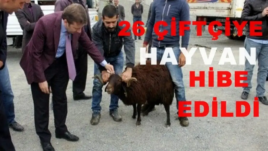 262 Hayvan Hibe Edildi