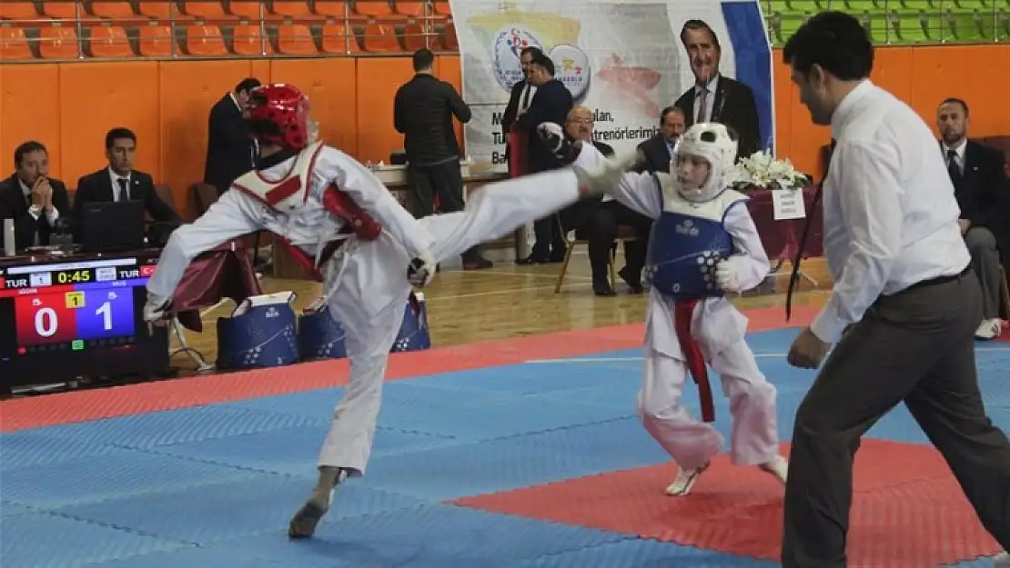 Analig Taekwondo Grup Müsabakaları Tamamlandı