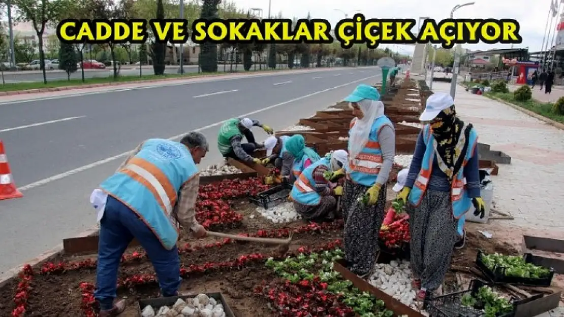 Çalışmalar Devam Ediyor