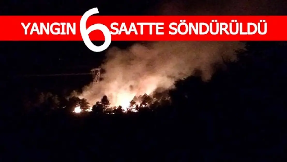 Ormanlık Alanda Yangın!