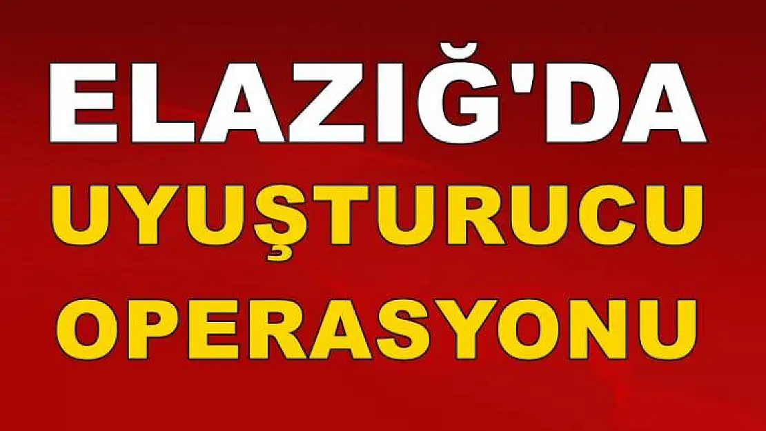 Uyuşturucu Operasyonu: 1 Gözaltı