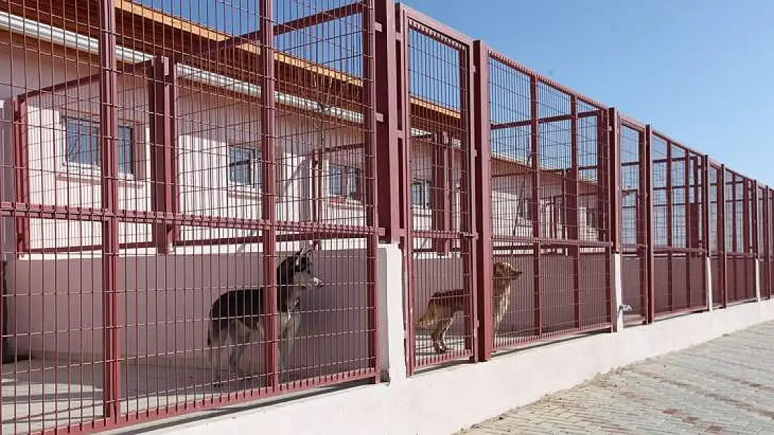 Hayvan Hastanesi Yetkililerin Takdirini Topladı