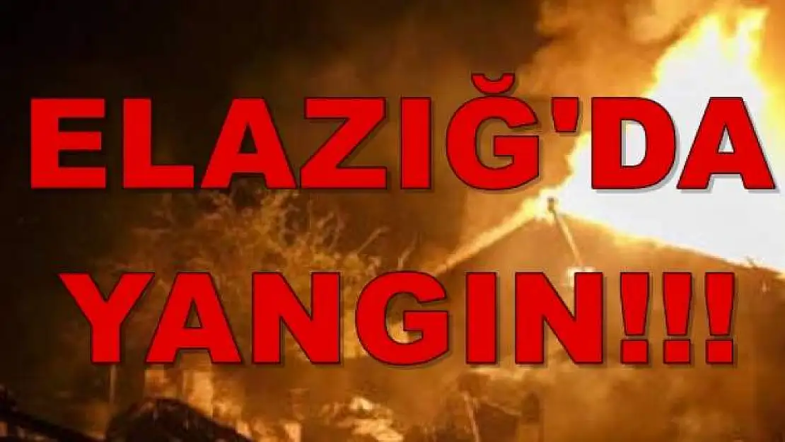 25 Dönümlük Arazi Alev Alev Yandı!
