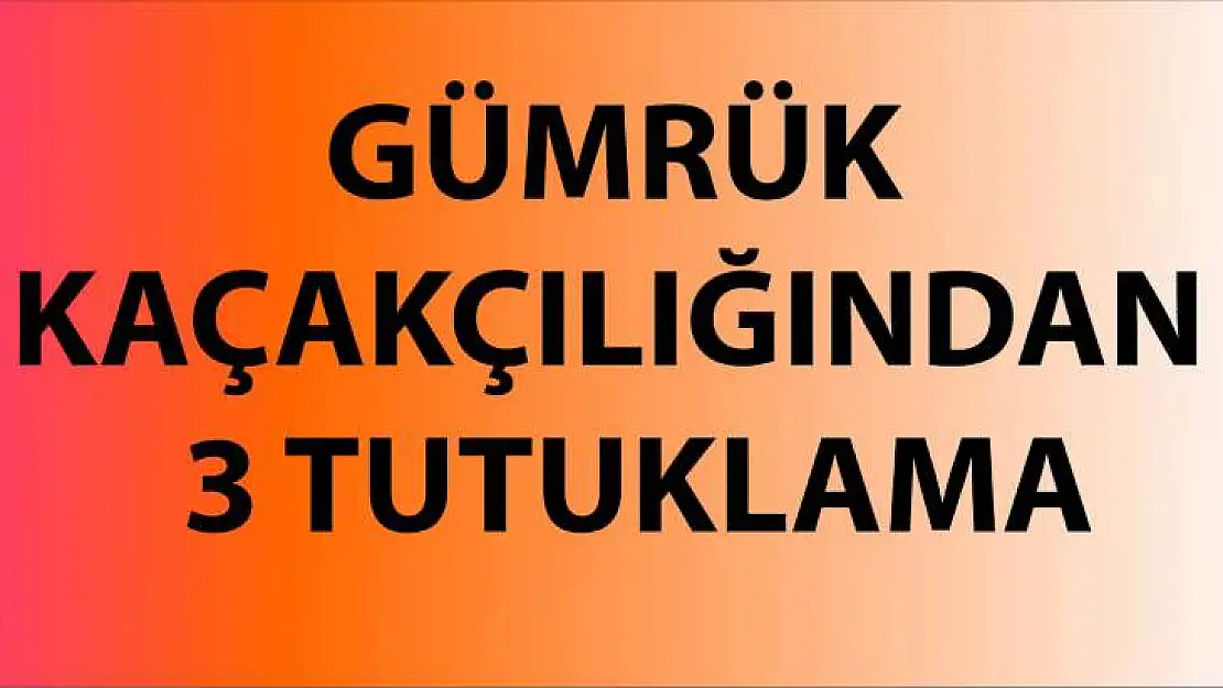 Gümrük Kaçakçılığı Operasyonu: 3 Tutuklama