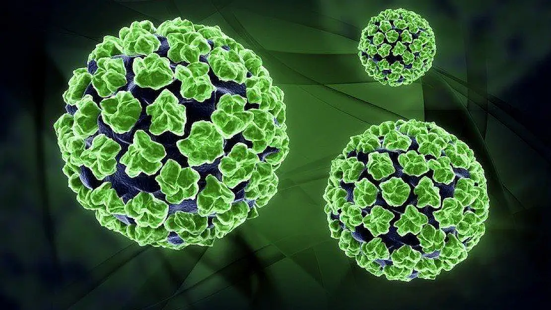 Akkuş'tan HPV Virüsü Açıklaması