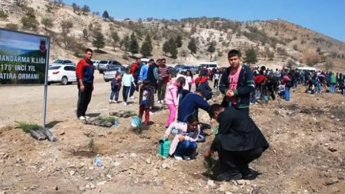 Jandarma'dan Hatıra Ormanına Fidan