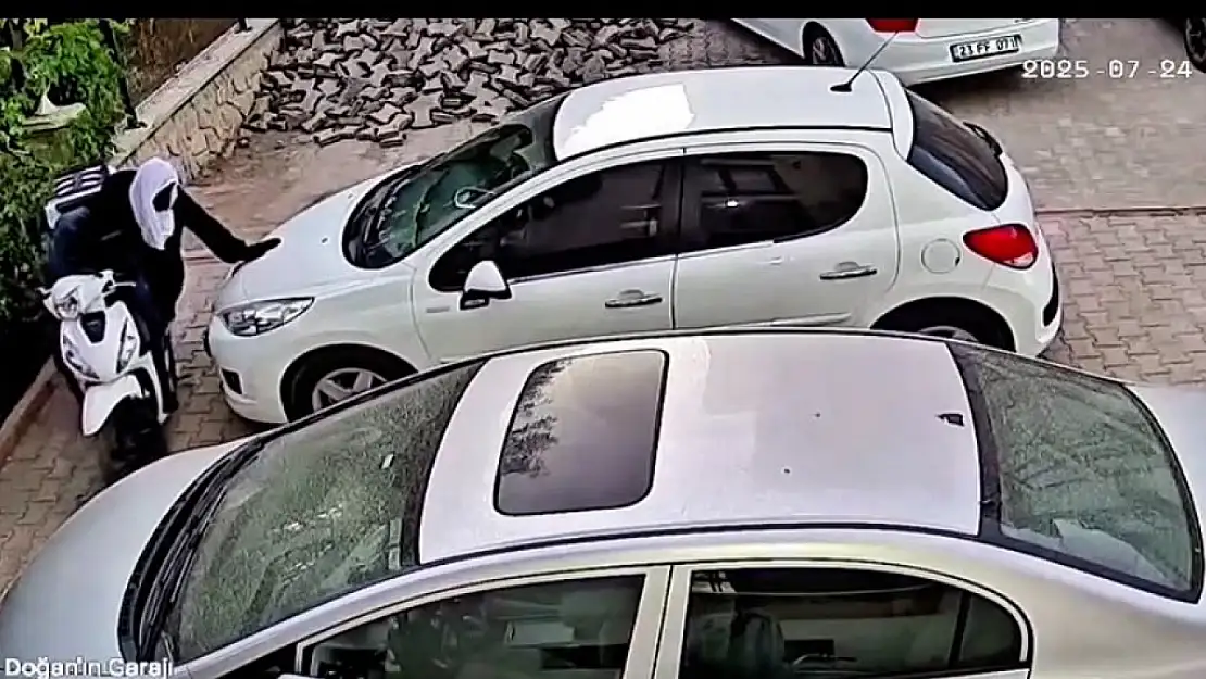Acemi hırsızlar kamerada