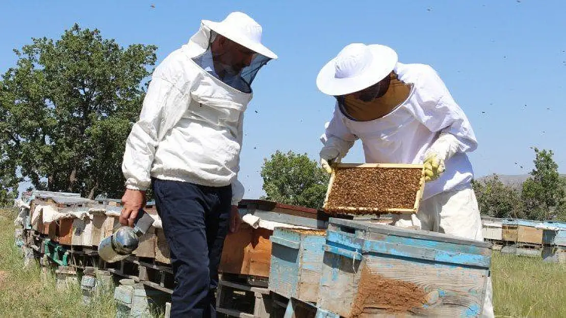 Kuraklık ve toz taşınımı arıcıları vurdu, son 10 yılın en kötü sezonu