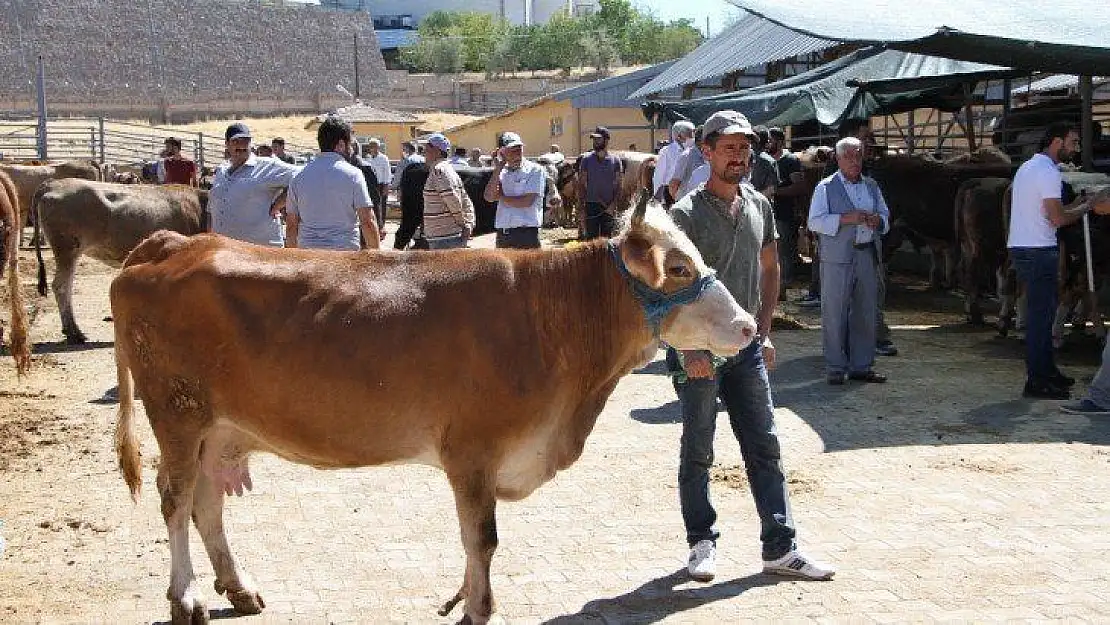 Kurban pazarında son gün yoğunluğu