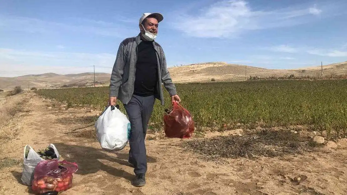 20 dönümlük sebze tarlasını vatandaşlara ücretsiz açtı