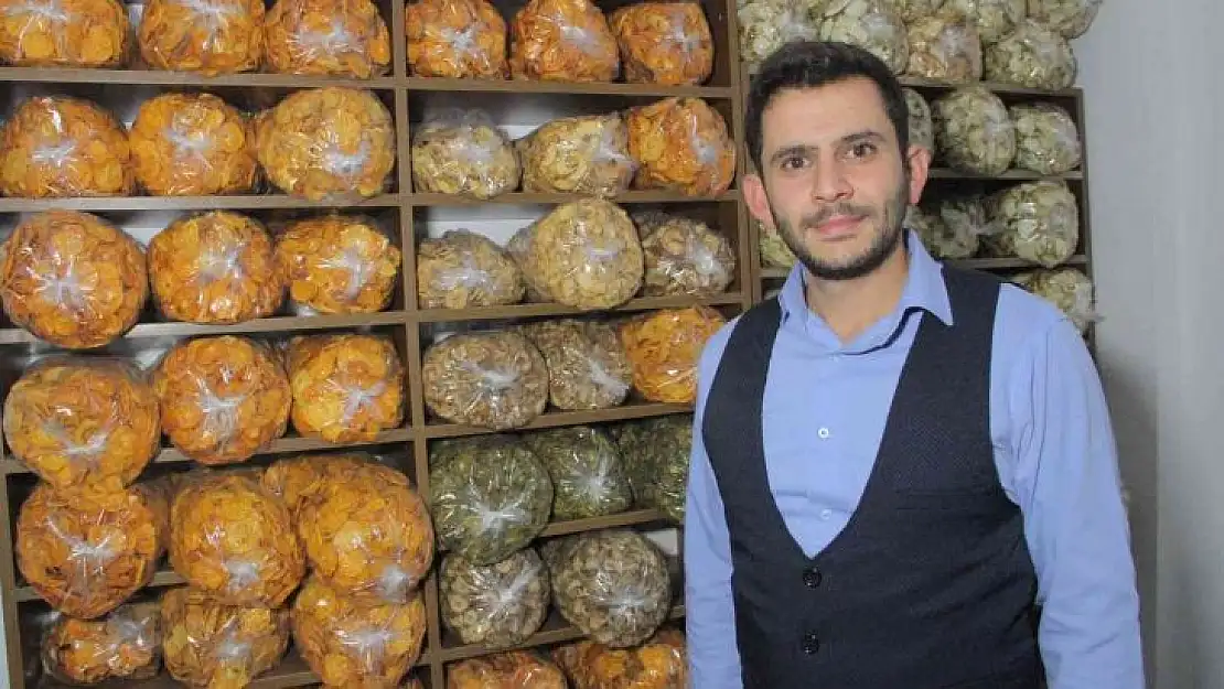 Mühendisliği bıraktı, Elazığ'da bir ilki başardı: Meyve kurusu siparişlerine yetişmeye çalışıyor