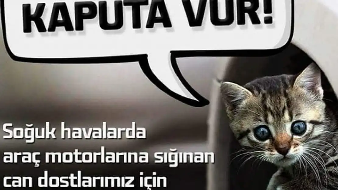 Odadan Uyarı!