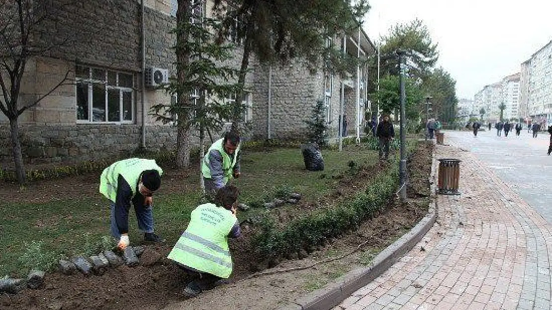 Elazığ Kış Bitkileriyle Renklenecek