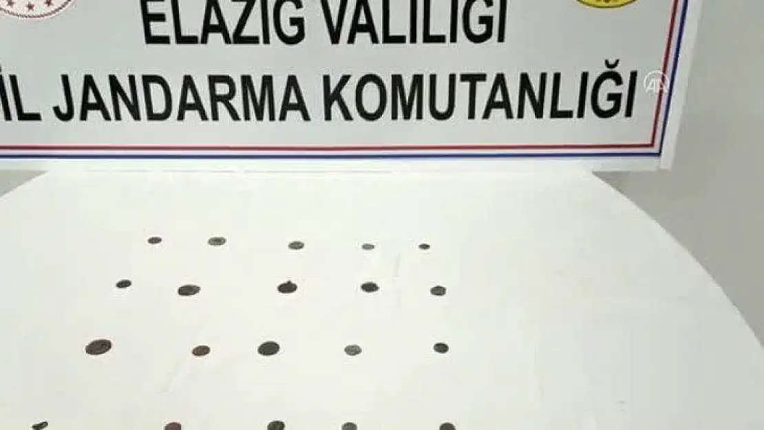 Define Avcıları Kıskıvrak!..