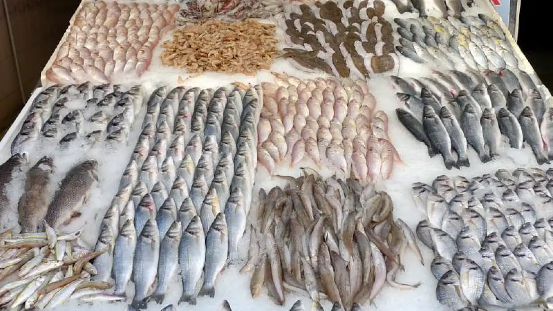 Su Ürünleri Sempozyumu Başladı