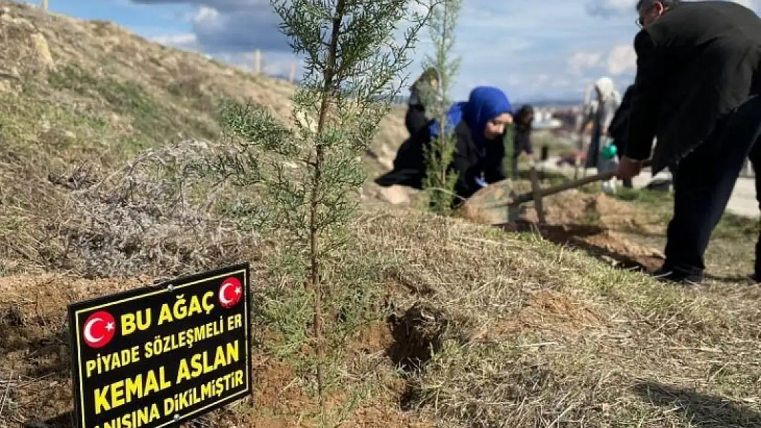 Üniversite öğrencileri şehitler anısına fidan dikti