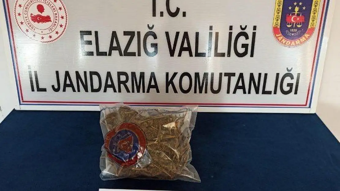 Yolcunun çantasından yarım kilo esrar çıktı