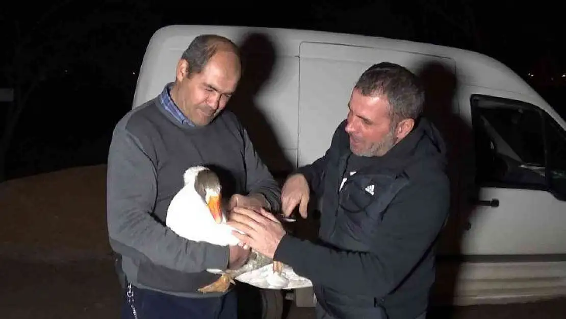 Yolda bulduğu  ve 'Mamoş' ismini verdiği kazı,  sahibine teslim etti