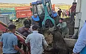 Bağını kopararak foseptik çukuruna düşen boğa kurtarıldı