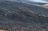 Elazığ'da arazi yangını