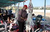 Elazığ'da bayram namazını kılan vatandaşlar, kurbanlarını kesti