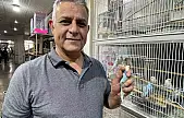 Elazığ'da muhabbet kuşlarına yoğun ilgi