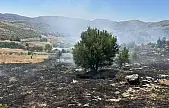 Elazığ'da otluk alanda çıkan yangın söndürüldü