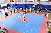 Elazığ'da taekwondo heyecanı
