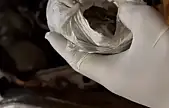 Elazığ'da uyuşturucuyla mücadele