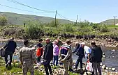 Karakoçan'da deredeki balık ölümleri için numuneler alındı