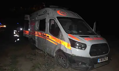 Elazığ'da ambulans şarampole uçtu: 2 yaralı