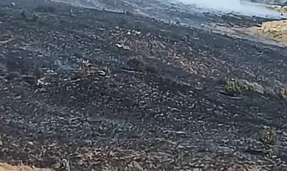 Elazığ'da arazi yangını
