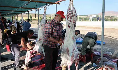 Elazığ'da bayram namazını kılan vatandaşlar, kurbanlarını kesti