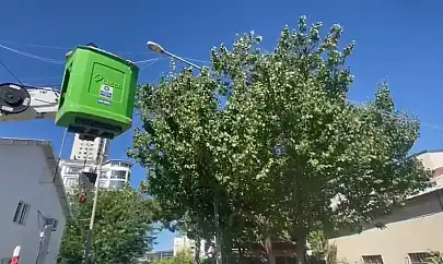 Fırat EDAŞ'tan doğaya duyarlı müdahale: Kuşlar güvende
