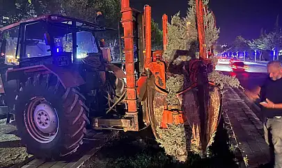 Hazardağlı Kavşağı'ndaki ağaçlar taşınarak koruma altına alınıyor