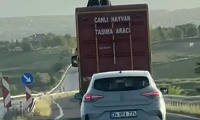 Kamyonun üzerinde tehlikeli yolculuk kamerada