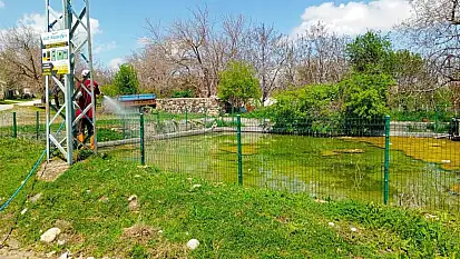 Elazığ'da larva ilaçlama çalışmaları sürüyor