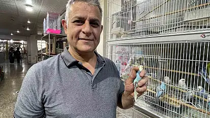 Elazığ'da muhabbet kuşlarına yoğun ilgi