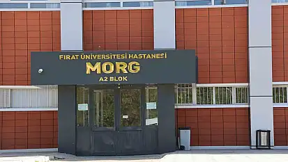 Elazığ'da uçurumdan düşen genç hayatını kaybetti